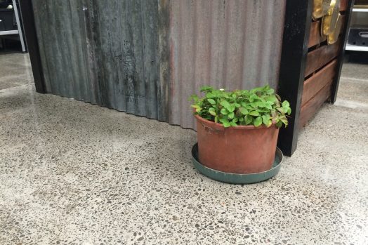 The Daly Larder - Full grind and polish of old industrial concrete slab